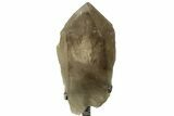 Huge Smoky Quartz Crystal on Metal Stand - Brazil #219132-2